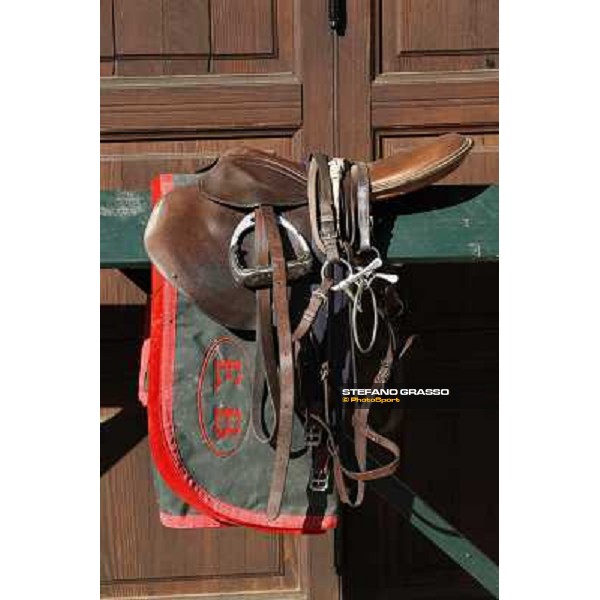 A morning at Endo Botti racing stable Pisa - San Rossore,7th nov.2012 ph.Stefano Grasso