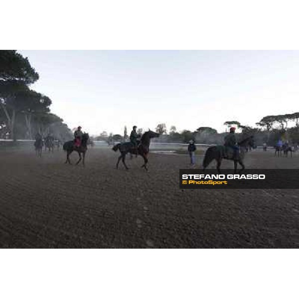 A morning at Endo Botti racing stable Pisa - San Rossore,7th nov.2012 ph.Stefano Grasso