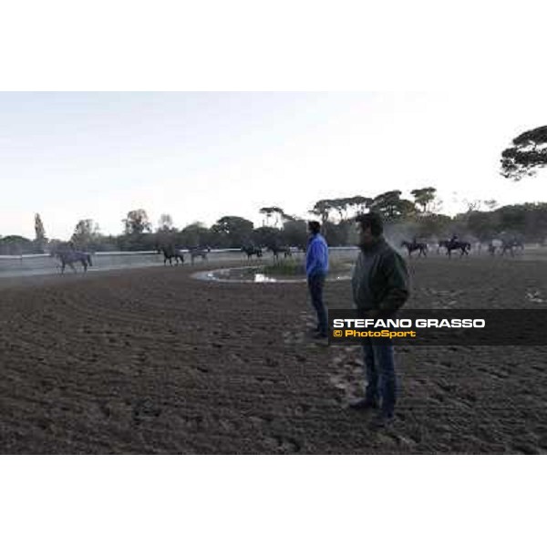A morning at Endo Botti racing stable Pisa - San Rossore,7th nov.2012 ph.Stefano Grasso