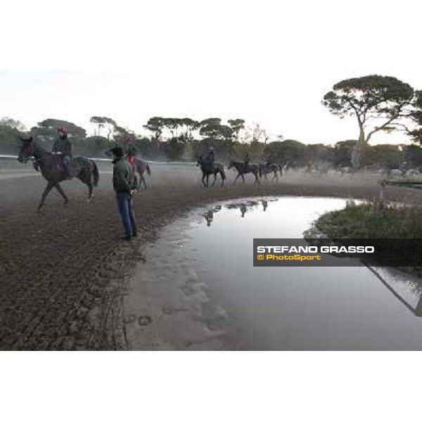 A morning at Endo Botti racing stable Pisa - San Rossore,7th nov.2012 ph.Stefano Grasso