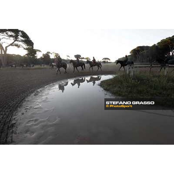 A morning at Endo Botti racing stable Pisa - San Rossore,7th nov.2012 ph.Stefano Grasso