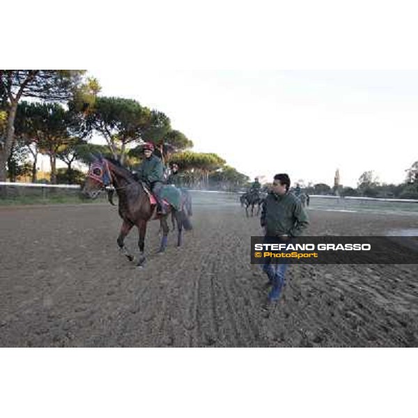 A morning at Endo Botti racing stable Pisa - San Rossore,7th nov.2012 ph.Stefano Grasso