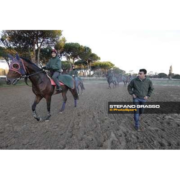 A morning at Endo Botti racing stable Pisa - San Rossore,7th nov.2012 ph.Stefano Grasso