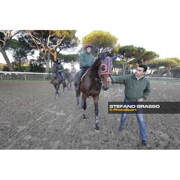 A morning at Endo Botti racing stable Pisa - San Rossore,7th nov.2012 ph.Stefano Grasso