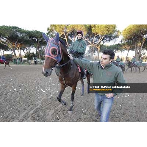 A morning at Endo Botti racing stable Pisa - San Rossore,7th nov.2012 ph.Stefano Grasso