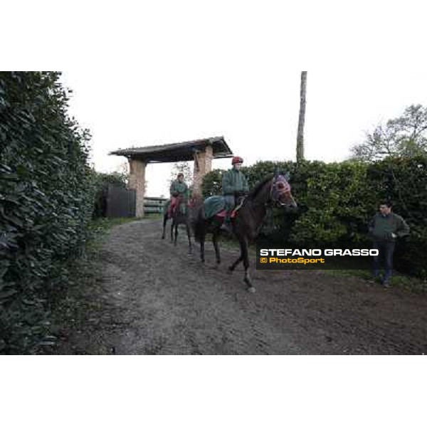 A morning at Endo Botti racing stable Pisa - San Rossore,7th nov.2012 ph.Stefano Grasso