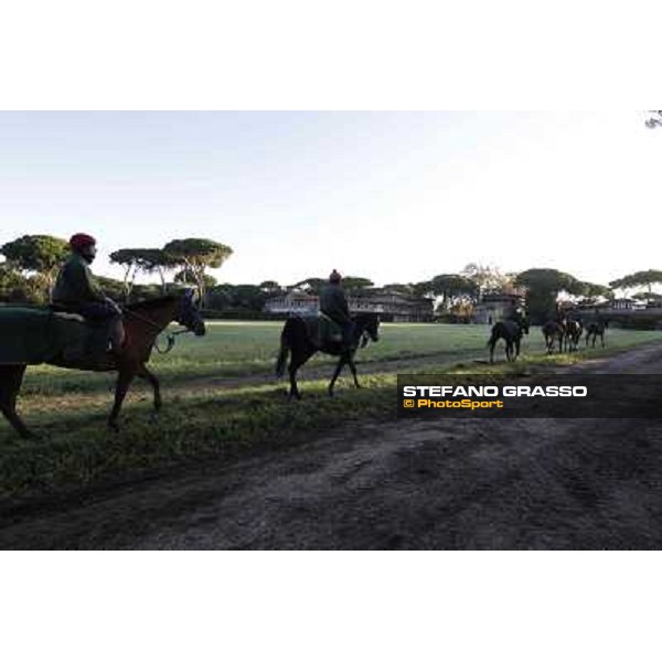 A morning at Endo Botti racing stable Pisa - San Rossore,7th nov.2012 ph.Stefano Grasso