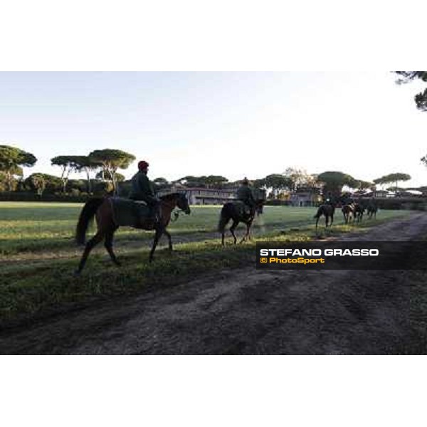 A morning at Endo Botti racing stable Pisa - San Rossore,7th nov.2012 ph.Stefano Grasso