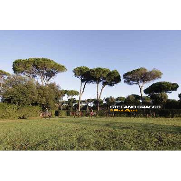 A morning at Endo Botti racing stable Pisa - San Rossore,7th nov.2012 ph.Stefano Grasso
