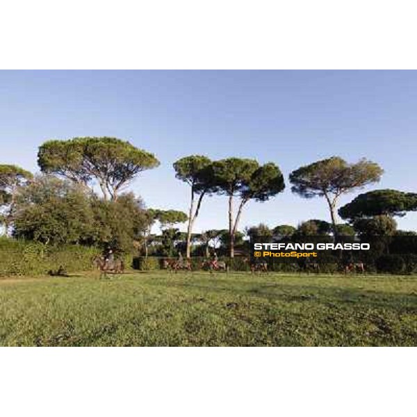 A morning at Endo Botti racing stable Pisa - San Rossore,7th nov.2012 ph.Stefano Grasso