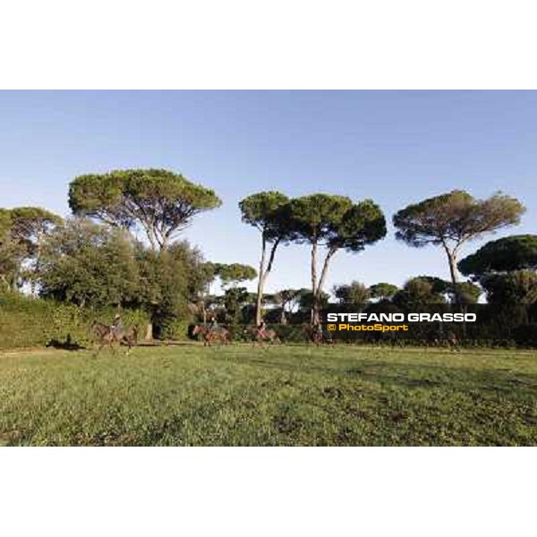 A morning at Endo Botti racing stable Pisa - San Rossore,7th nov.2012 ph.Stefano Grasso