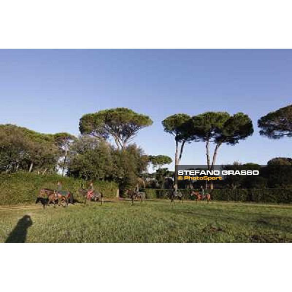 A morning at Endo Botti racing stable Pisa - San Rossore,7th nov.2012 ph.Stefano Grasso