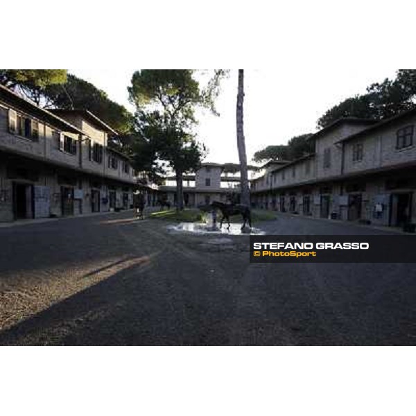 A morning at Endo Botti racing stable Pisa - San Rossore,7th nov.2012 ph.Stefano Grasso