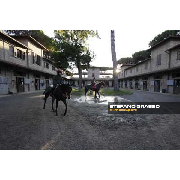 A morning at Endo Botti racing stable Pisa - San Rossore,7th nov.2012 ph.Stefano Grasso
