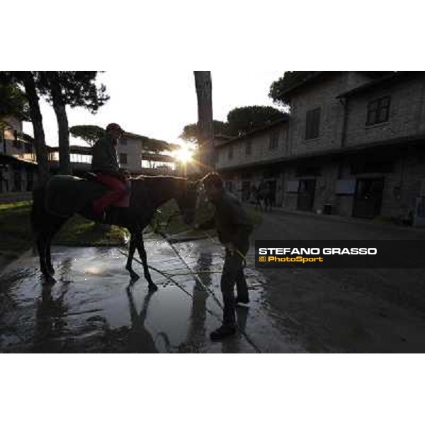A morning at Endo Botti racing stable Pisa - San Rossore,7th nov.2012 ph.Stefano Grasso