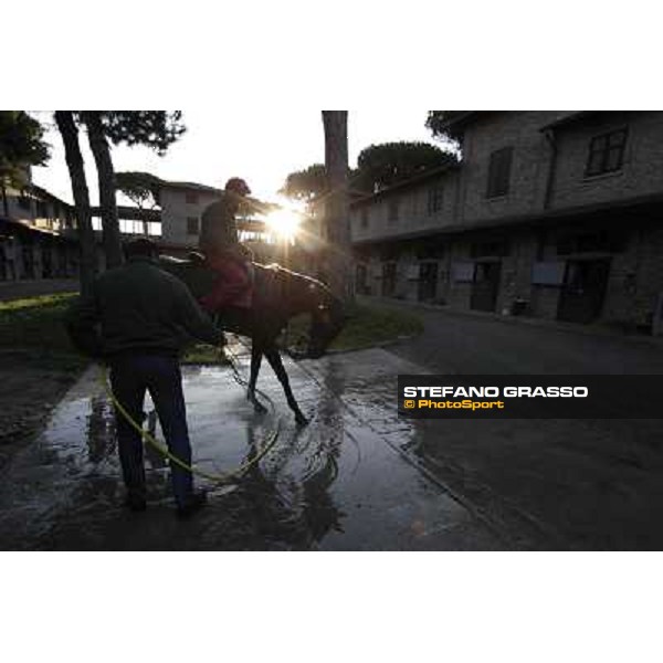 A morning at Endo Botti racing stable Pisa - San Rossore,7th nov.2012 ph.Stefano Grasso