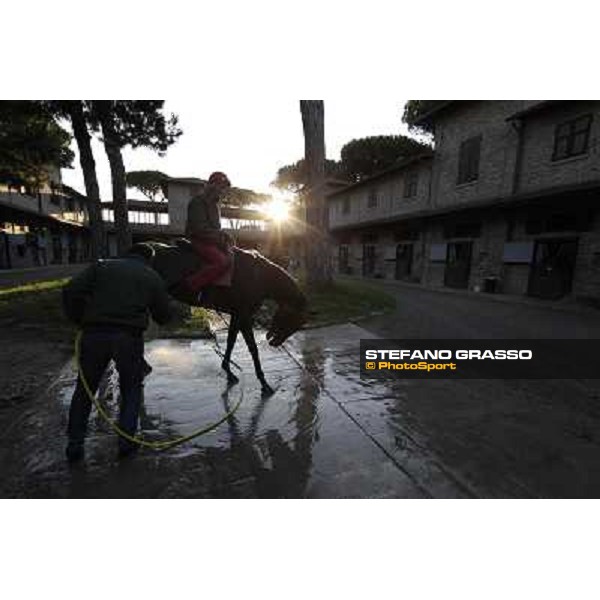 A morning at Endo Botti racing stable Pisa - San Rossore,7th nov.2012 ph.Stefano Grasso