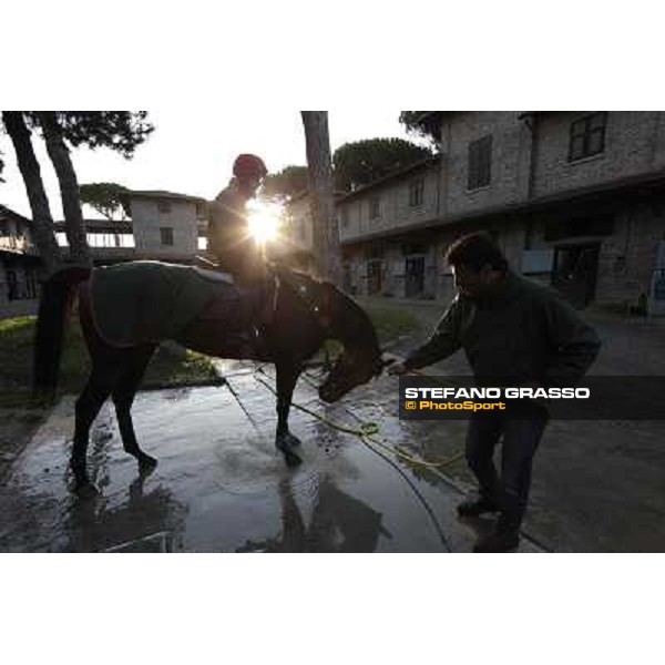 A morning at Endo Botti racing stable Pisa - San Rossore,7th nov.2012 ph.Stefano Grasso