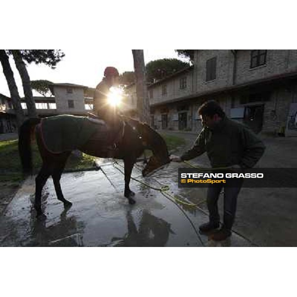 A morning at Endo Botti racing stable Pisa - San Rossore,7th nov.2012 ph.Stefano Grasso