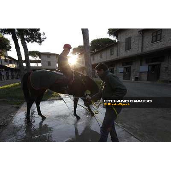 A morning at Endo Botti racing stable Pisa - San Rossore,7th nov.2012 ph.Stefano Grasso