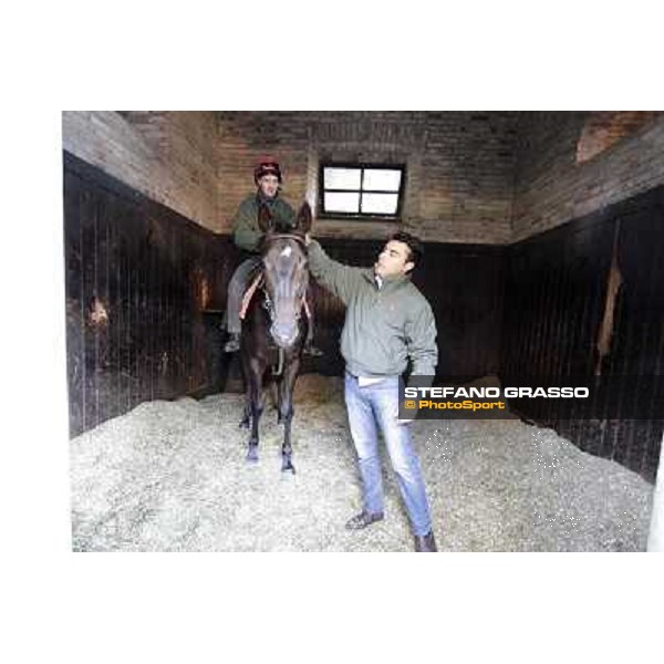 A morning at Endo Botti racing stable Pisa - San Rossore,7th nov.2012 ph.Stefano Grasso