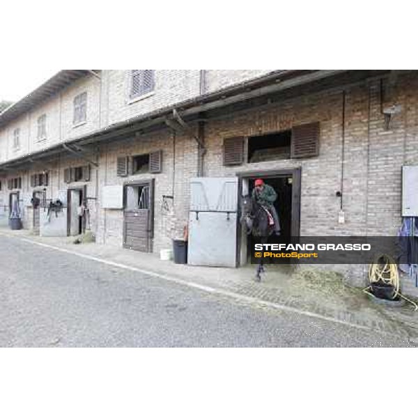 A morning at Endo Botti racing stable Pisa - San Rossore,7th nov.2012 ph.Stefano Grasso