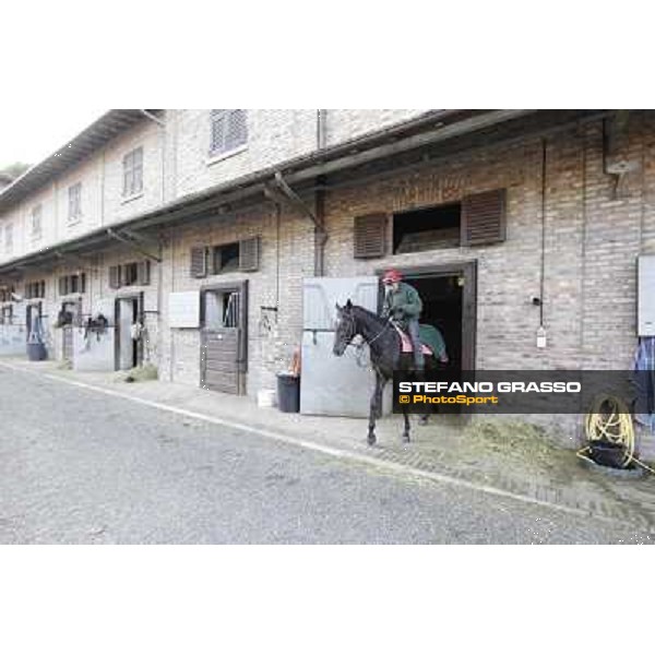 A morning at Endo Botti racing stable Pisa - San Rossore,7th nov.2012 ph.Stefano Grasso