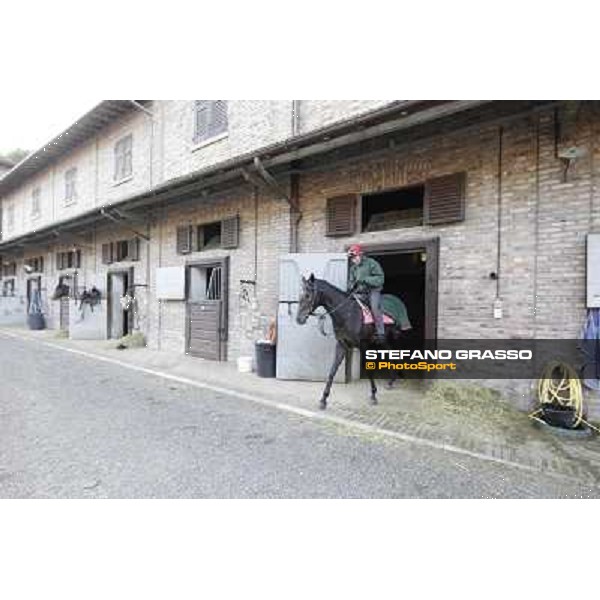 A morning at Endo Botti racing stable Pisa - San Rossore,7th nov.2012 ph.Stefano Grasso