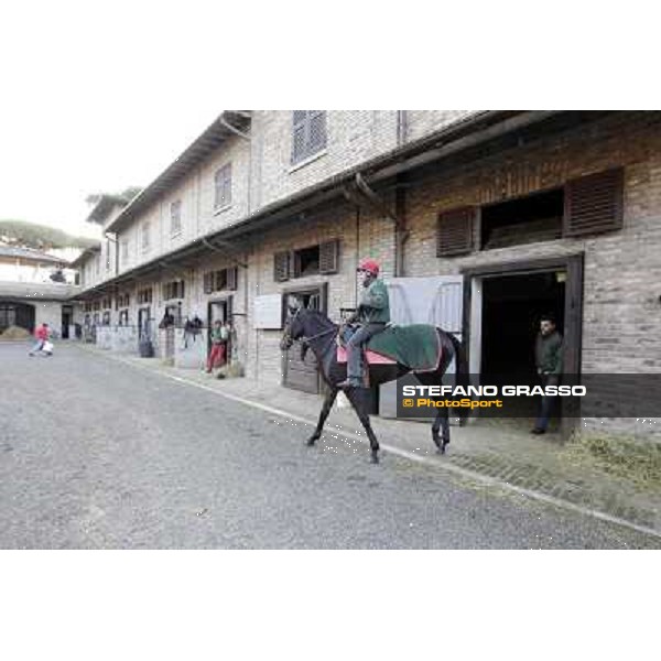 A morning at Endo Botti racing stable Pisa - San Rossore,7th nov.2012 ph.Stefano Grasso