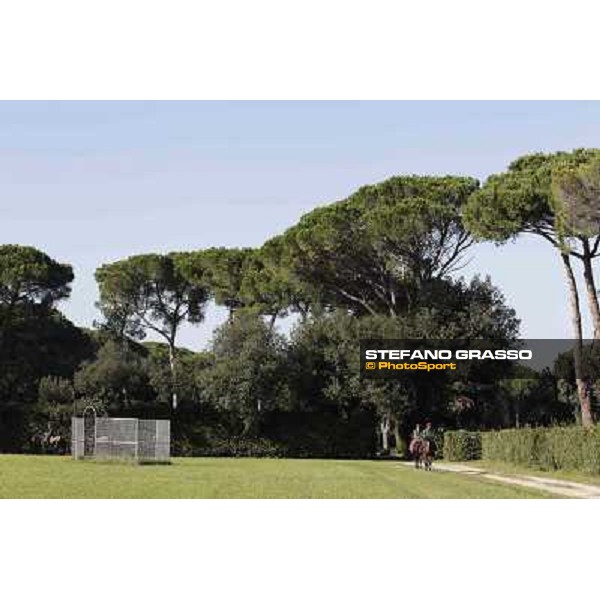 A morning at Endo Botti racing stable Pisa - San Rossore,7th nov.2012 ph.Stefano Grasso