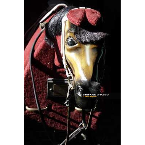 A morning at Endo Botti racing stable Pisa - San Rossore,7th nov.2012 ph.Stefano Grasso