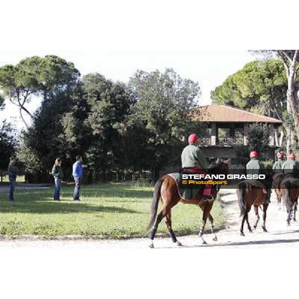 A morning at Endo Botti racing stable Pisa - San Rossore,7th nov.2012 ph.Stefano Grasso