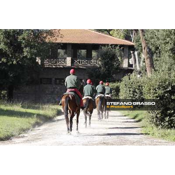 A morning at Endo Botti racing stable Pisa - San Rossore,7th nov.2012 ph.Stefano Grasso