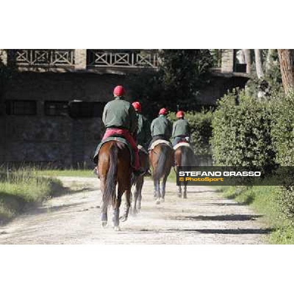 A morning at Endo Botti racing stable Pisa - San Rossore,7th nov.2012 ph.Stefano Grasso