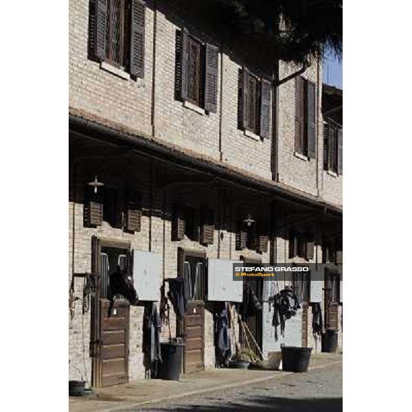A morning at Endo Botti racing stable Pisa - San Rossore,7th nov.2012 ph.Stefano Grasso