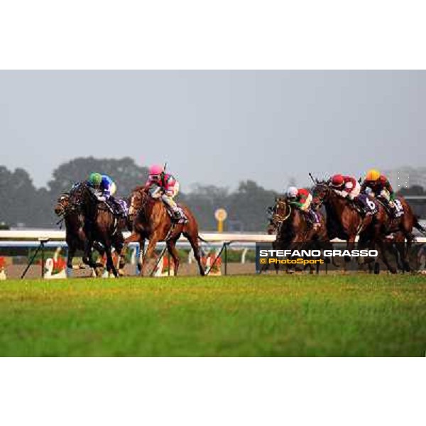 Rainbow Dahlia, Yoshitomi Shibata up wins the Queen Elisabeth II Commemorative Cup Kyoto 11th nov.2012 ph.Peeo Ploff