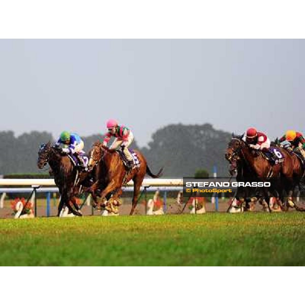 Rainbow Dahlia, Yoshitomi Shibata up wins the Queen Elisabeth II Commemorative Cup Kyoto 11th nov.2012 ph.Peeo Ploff