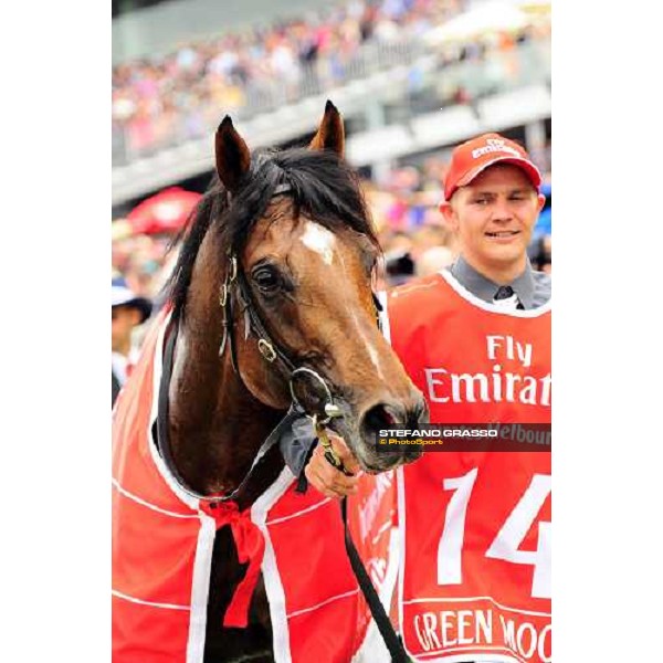 Green Moon, Brett Prebble up, wins the Melbourne Cup Melbourne - Flemington racecourse,6th nov.2012 ph.Peeo Ploff