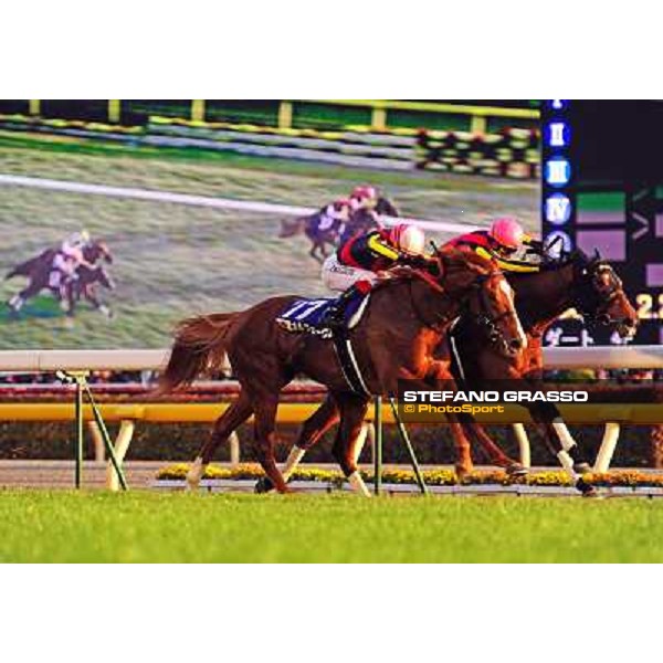 Gentildonna (inside), Yasunari Iwata up wins the Japan Cup 2012 beating Orfevre Tokyo - Fuchu Racecourse, 25th nov.2012 ph.Peeo Ploff/Stefano Grasso
