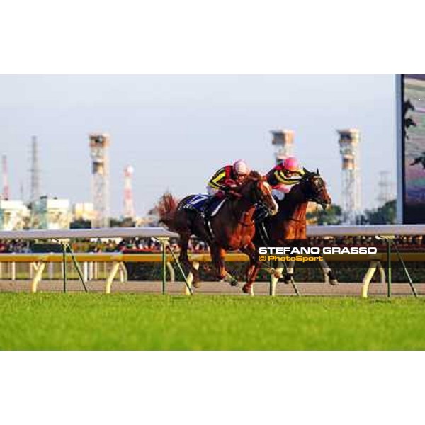 Gentildonna with Yasunari Iwata goes to win the Japan Cup 2012 beating Orfevre Tokyo - Fuchu racecourse, 25th nov.2012 ph.Peeo Ploff/Stefano Grasso