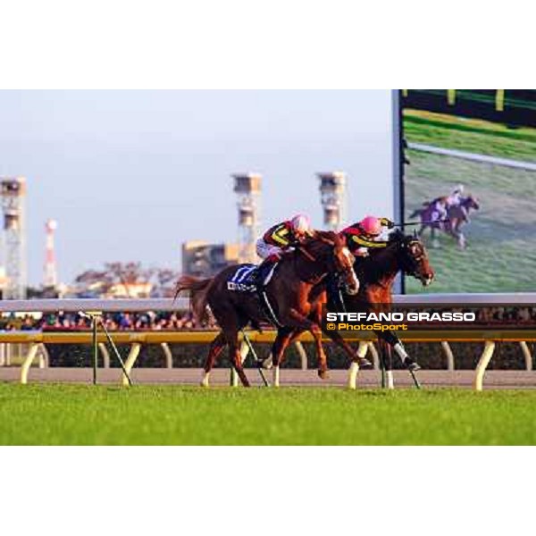 Gentildonna with Yasunari Iwata goes to win the Japan Cup 2012 beating Orfevre Tokyo - Fuchu racecourse, 25th nov.2012 ph.Peeo Ploff/Stefano Grasso