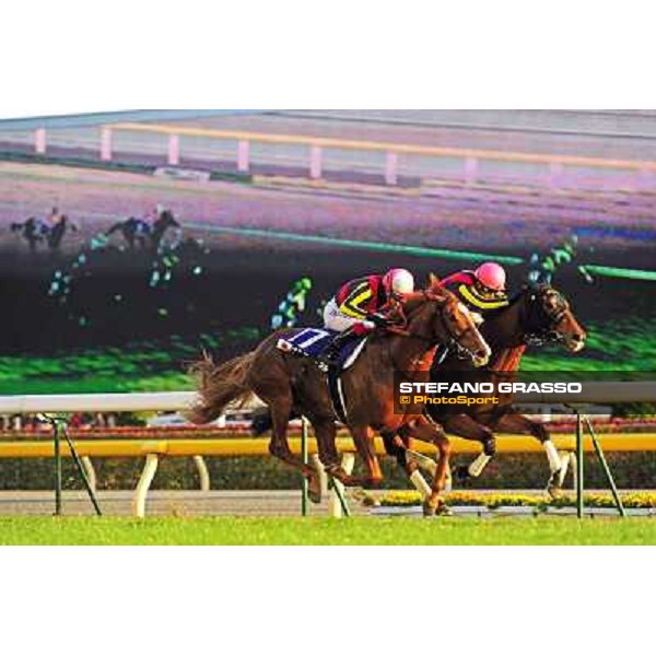 Gentildonna with Yasunari Iwata goes to win the Japan Cup 2012 beating Orfevre Tokyo - Fuchu racecourse, 25th nov.2012 ph.Peeo Ploff/Stefano Grasso