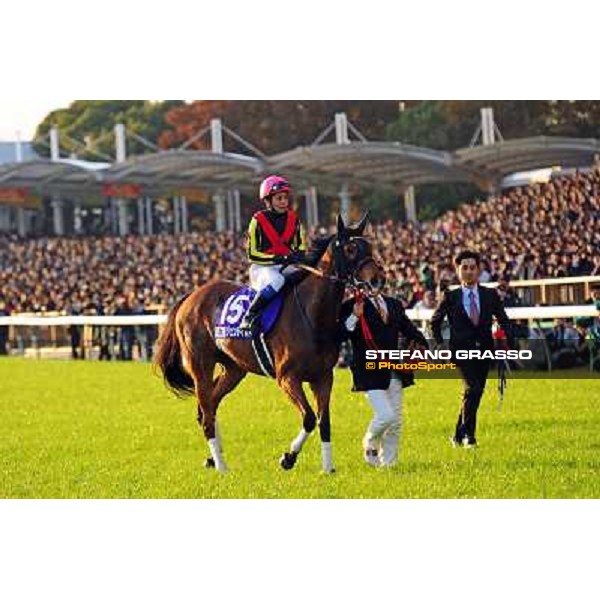 Gentildonna with Yasunari Iwata returns home after winning the Japan Cup 2012 Tokyo - Fuchu racecourse, 25th nov.2012 ph.Peeo Ploff/Stefano Grasso