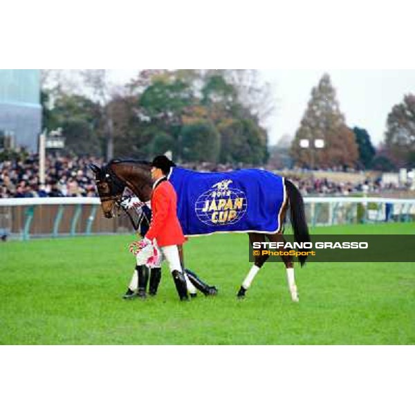 Gentildonna parades after winning the Japan Cup 2012 Tokyo - Fuchu racecourse, 25th nov.2012 ph.Peeo Ploff/Stefano Grasso