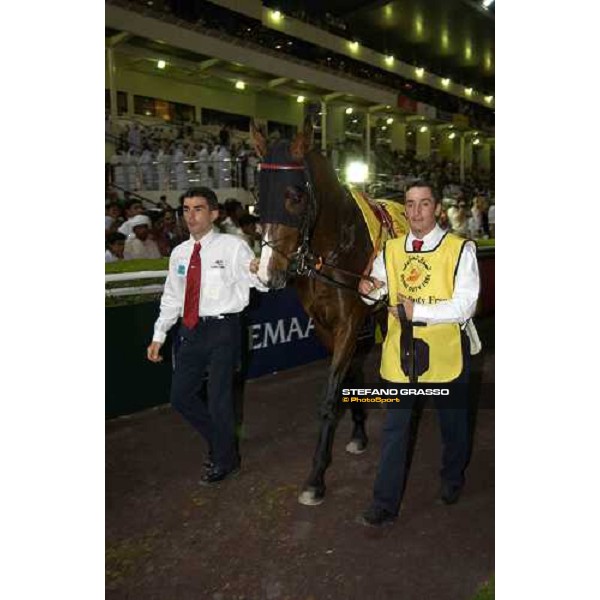 Prince Kirk in the parade ring of Dubai Duty Free Nad El Sheba- Dubai, 26th march 2005 ph. Stefano Grasso