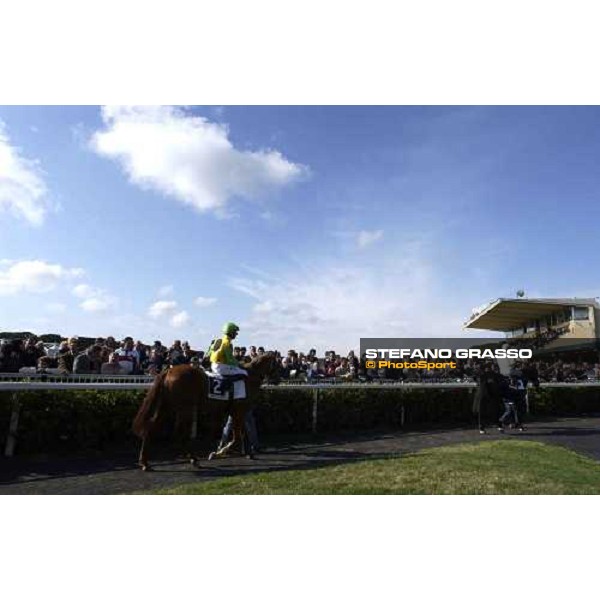 the parade ring of San Rossore racetrack Pisa, 28th march 2005 ph. Stefano Grasso