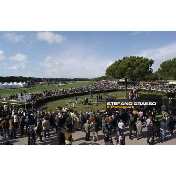parade ring of the 115¡ Premio Pisa Sis San Rossore racetrack Pisa, 28th march 2005 ph. Stefano Grasso