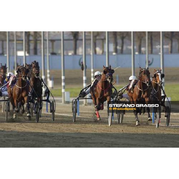 straight of Gran Premio Costa Azzurra Jos Verbeeck and Gigant Neo (2) leads the group at last 50 meters to the line Vinovo racetrack 4th april 2005 ph. Stefano Grasso