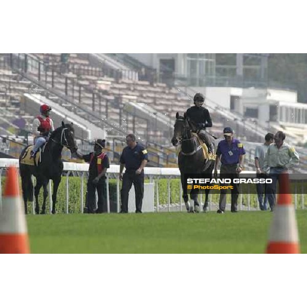 Greys Inn(left) and Gran Armee(right) Sha Tin morning track works 19th april 2005 ph. The Hong Kong Jockey club