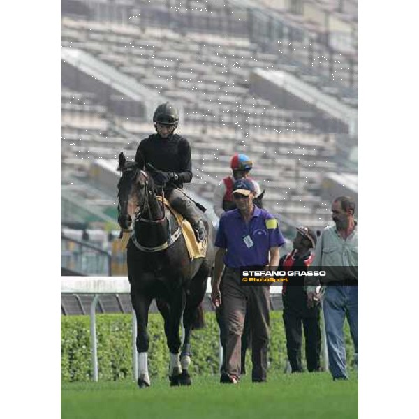 Grand Armee Sha Tin morning track works 19th april 2005 ph. The Hong Kong Jockey club